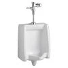 American Standard 6590.503.020 Washbrook Urinal And Manual Flush Valve Combo -American Standard 033056837948 34624.1563307937
