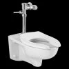 American Standard 2856.111.020 Afwall Millennium Commercial Bowl And 1.1 GPM Flush Valve Kt -American Standard 791556038271 42670.1562785351