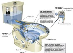 American Standard 288CA114.020 H2OPtion 2-Piece Elongated Toilet -American Standard 791556089471 02 70405.1563308476