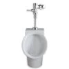 American Standard 6042.453.020 0.125 GPF Urinal System -American Standard 791556091054 37765.1563310230